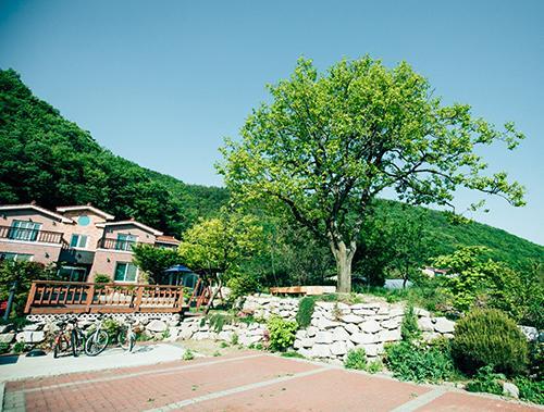 Utopia Pension Gyeongju Buitenkant foto